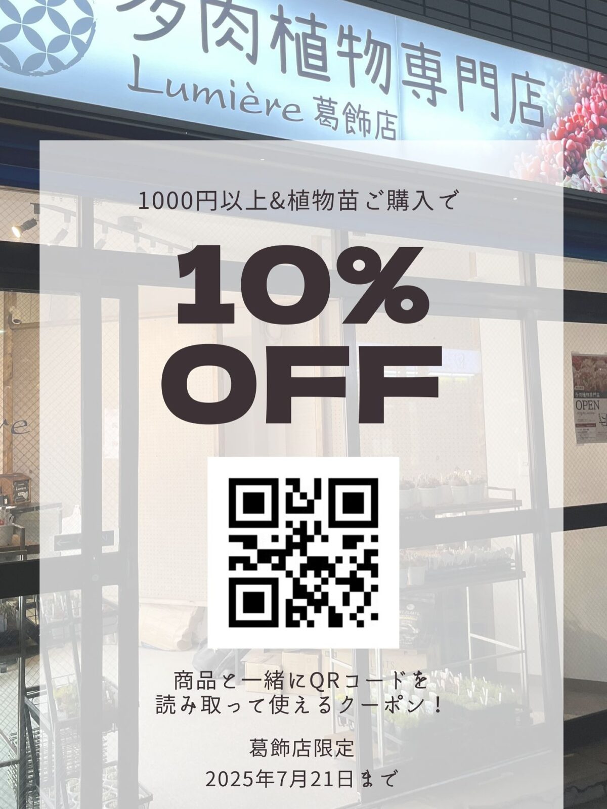 東京でたくさん多肉植物が並ぶお店 | 多肉植物専門店リュミエール_20250719