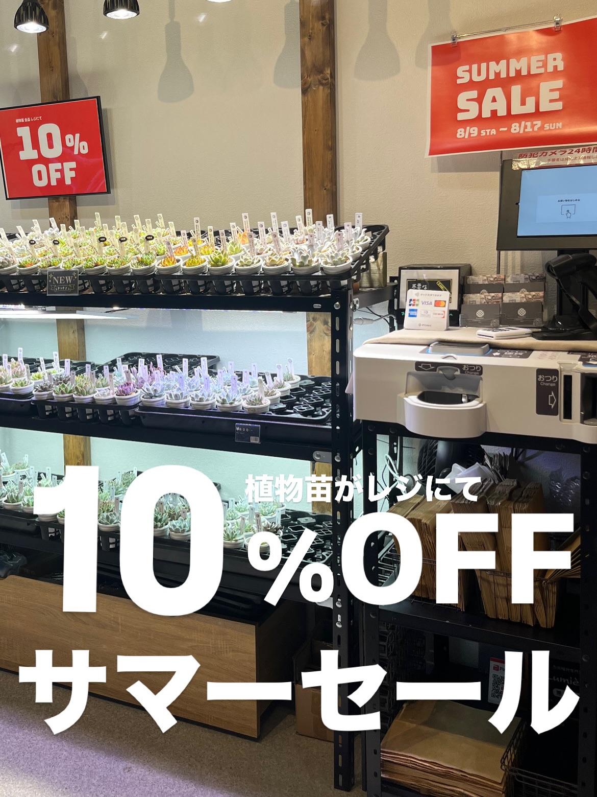 東京でたくさん多肉植物が並ぶお店 | 多肉植物専門店リュミエール_20250808