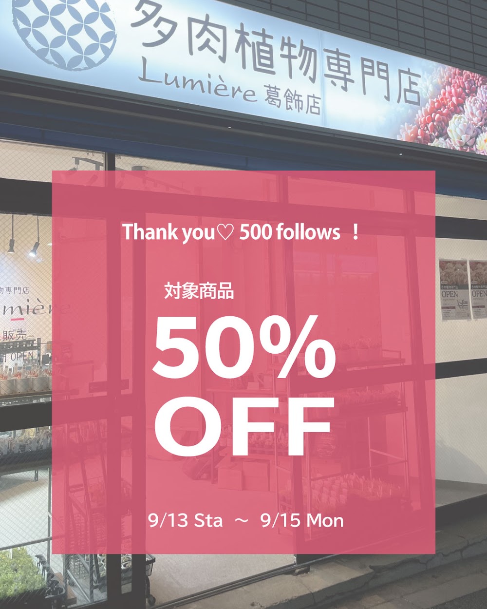 東京でたくさん多肉植物が並ぶお店 | 多肉植物専門店リュミエール_20250908