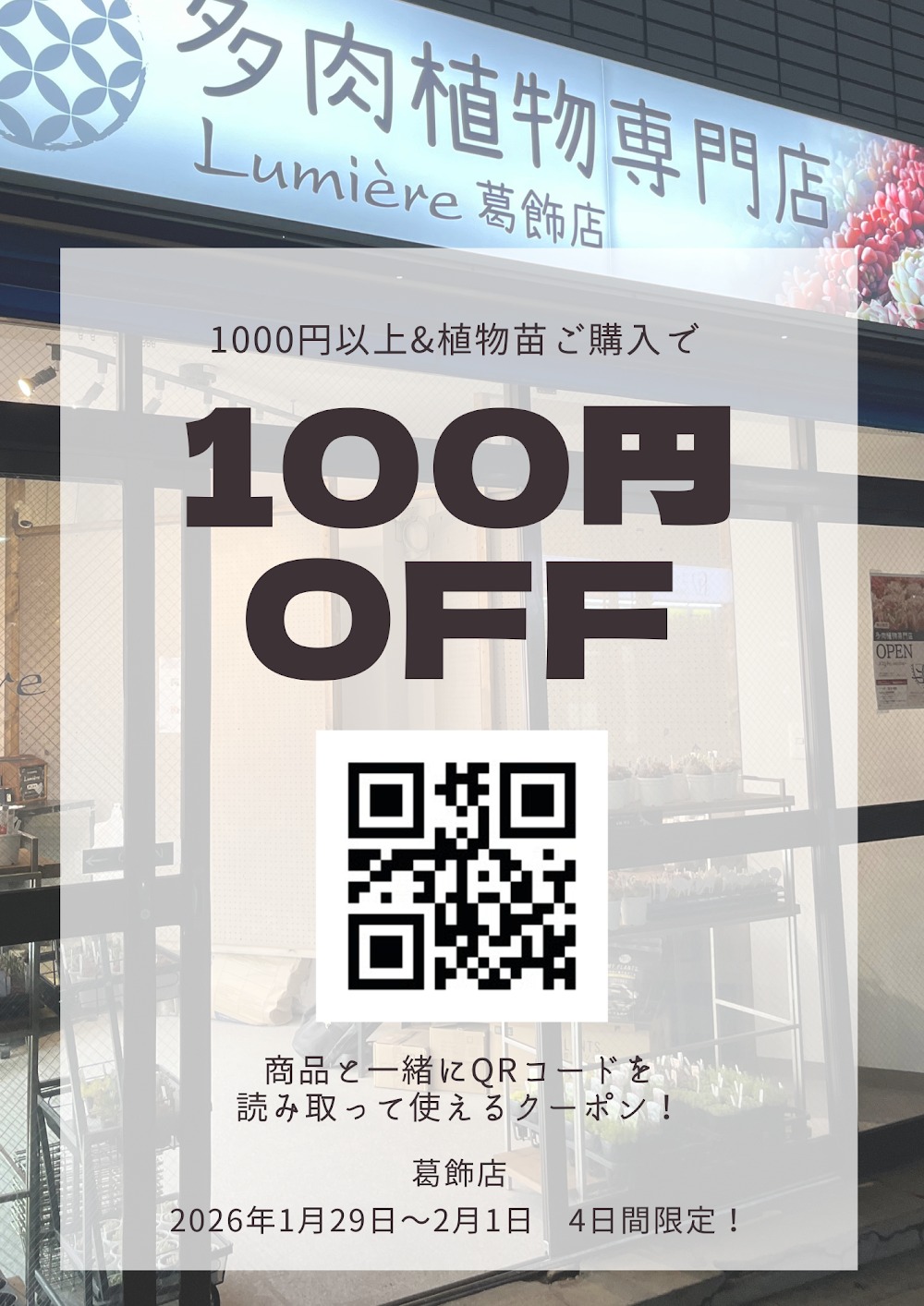 東京でたくさん多肉植物が並ぶお店 | 多肉植物専門店リュミエール_20260127