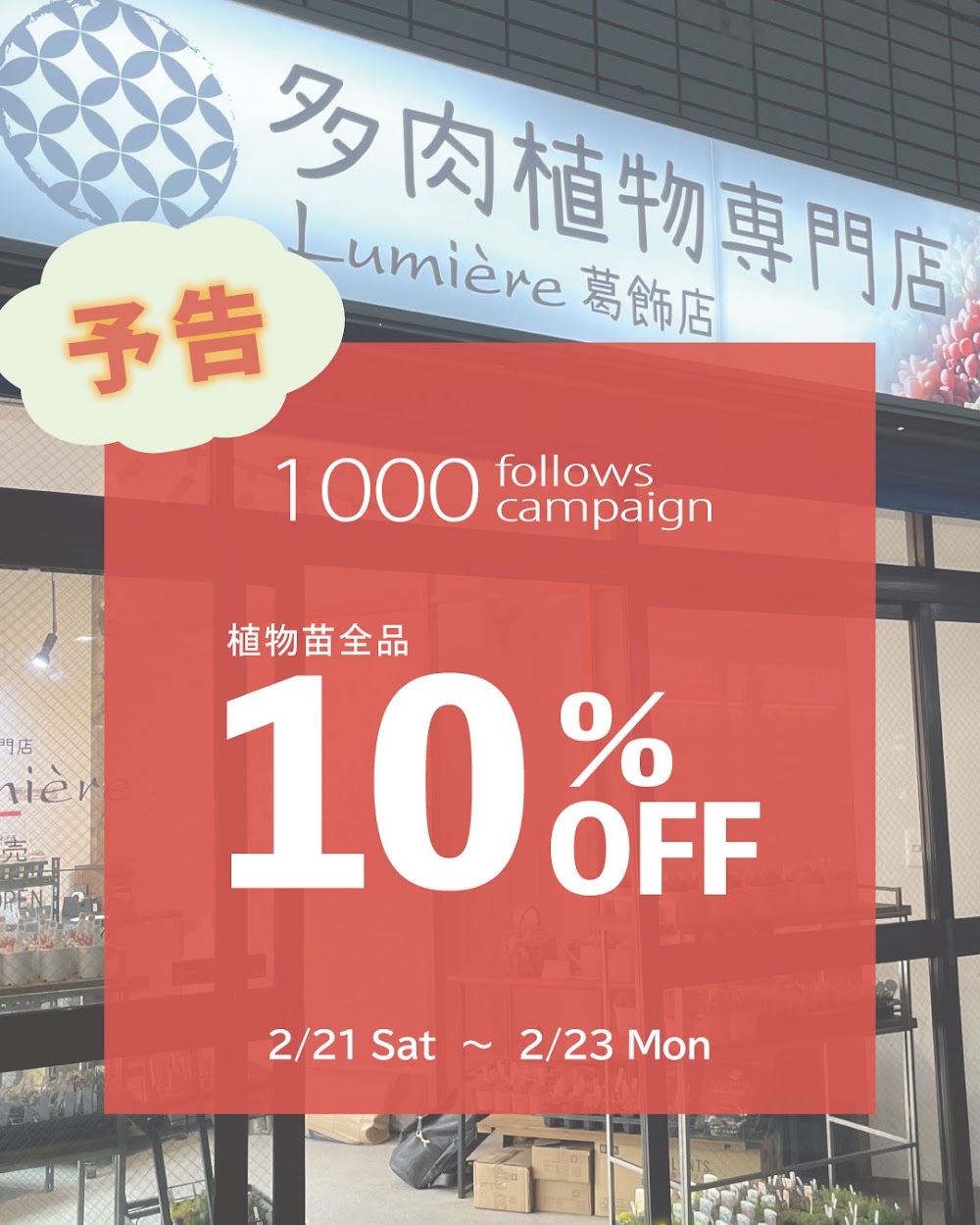 東京でたくさん多肉植物が並ぶお店 | 多肉植物専門店リュミエール_20260217