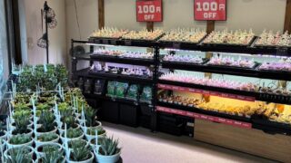 本日終了!バレンタインキャンペーン💕