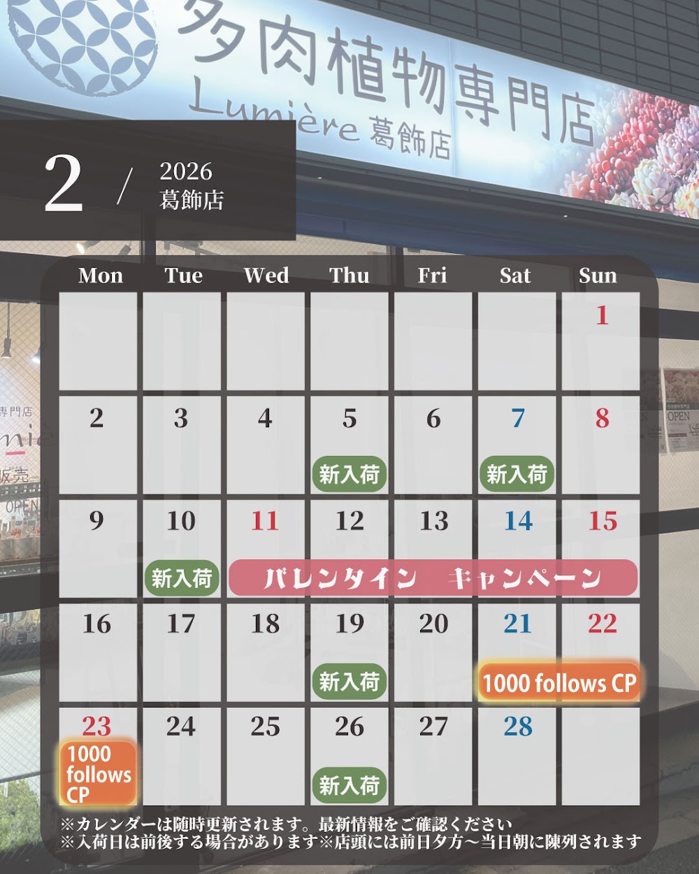 東京でたくさん多肉植物が並ぶお店 | 多肉植物専門店リュミエール_20260216