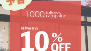 1000follows感謝✨️キャンペーン開催決定🤩