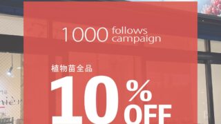 3日間限定!10%OFF🔥
