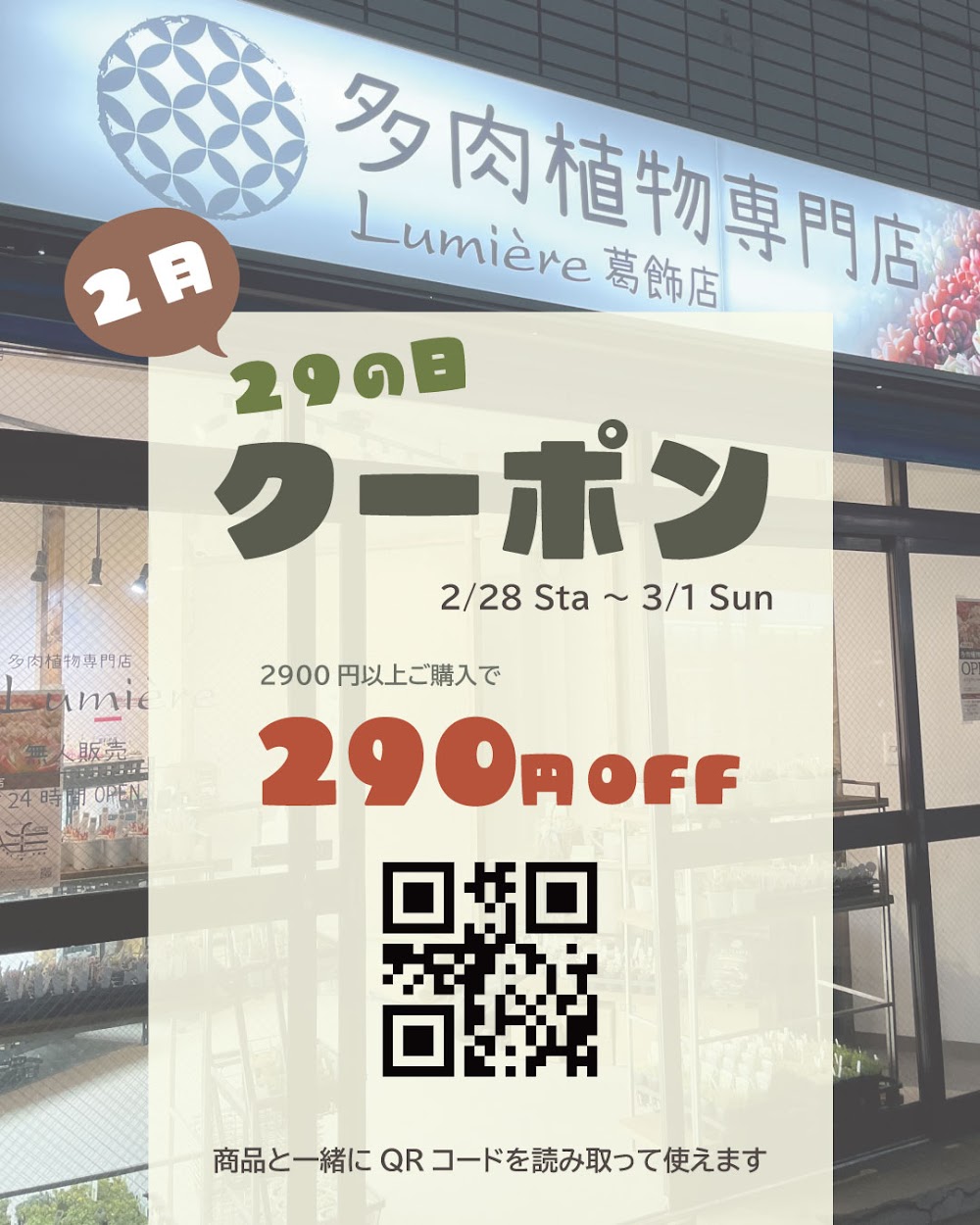 東京でたくさん多肉植物が並ぶお店 | 多肉植物専門店リュミエール_20260226