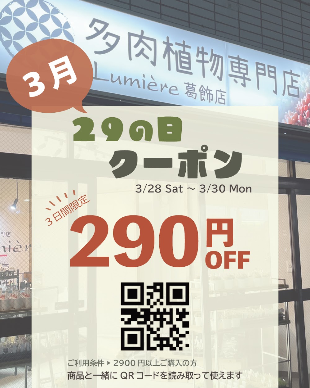 東京でたくさん多肉植物が並ぶお店 | 多肉植物専門店リュミエール_20260326