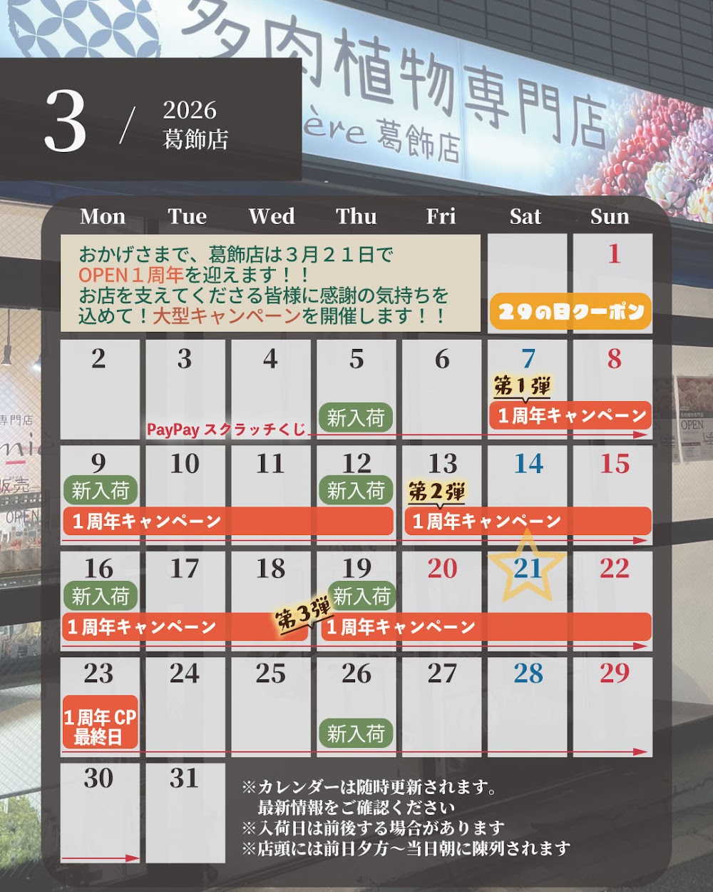 東京でたくさん多肉植物が並ぶお店 | 多肉植物専門店リュミエール_20260301