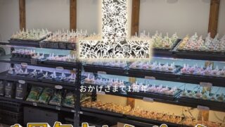 葛飾店OPEN1周年キャンペーン✨️1日目☺️