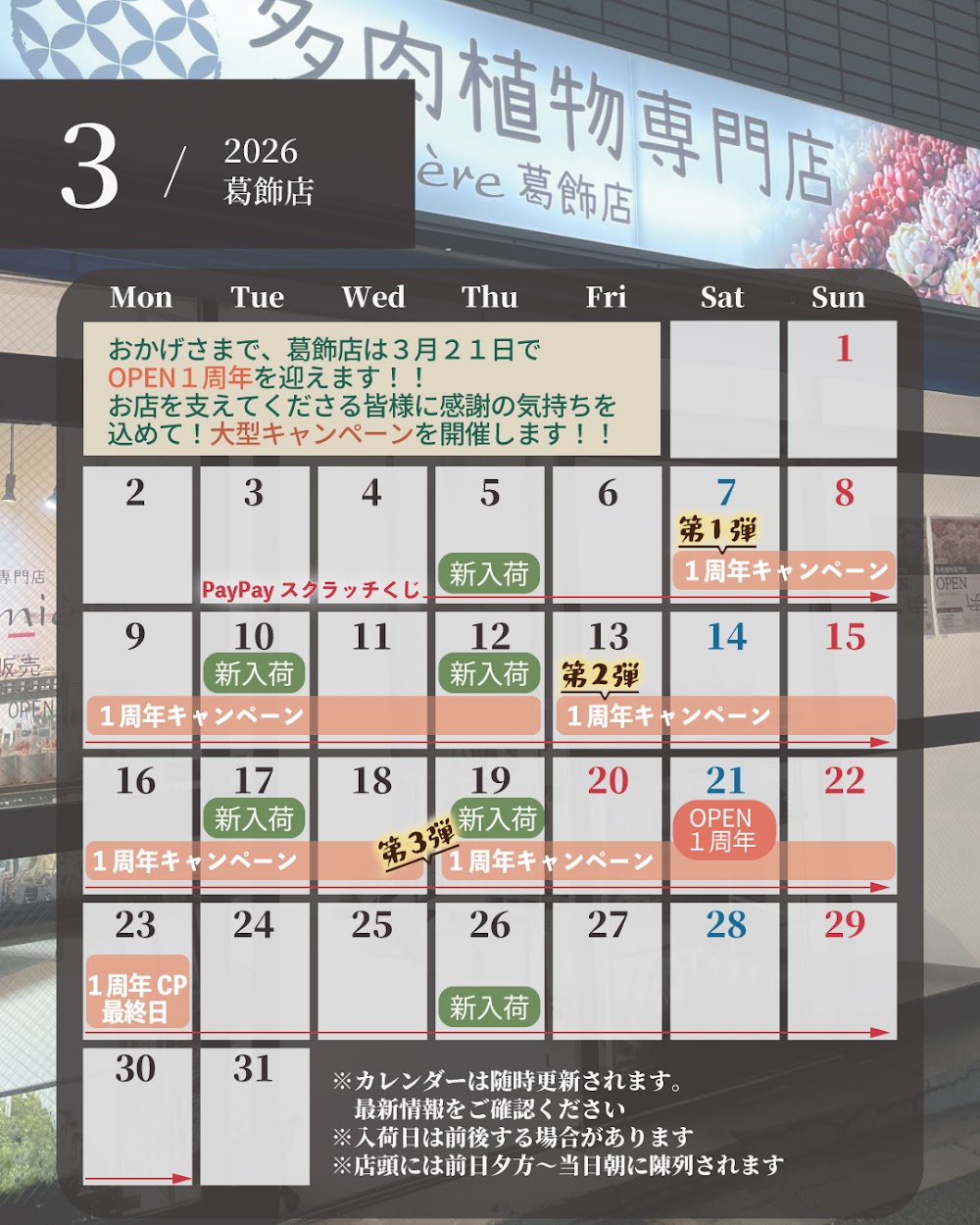 東京でたくさん多肉植物が並ぶお店 | 多肉植物専門店リュミエール_20260308