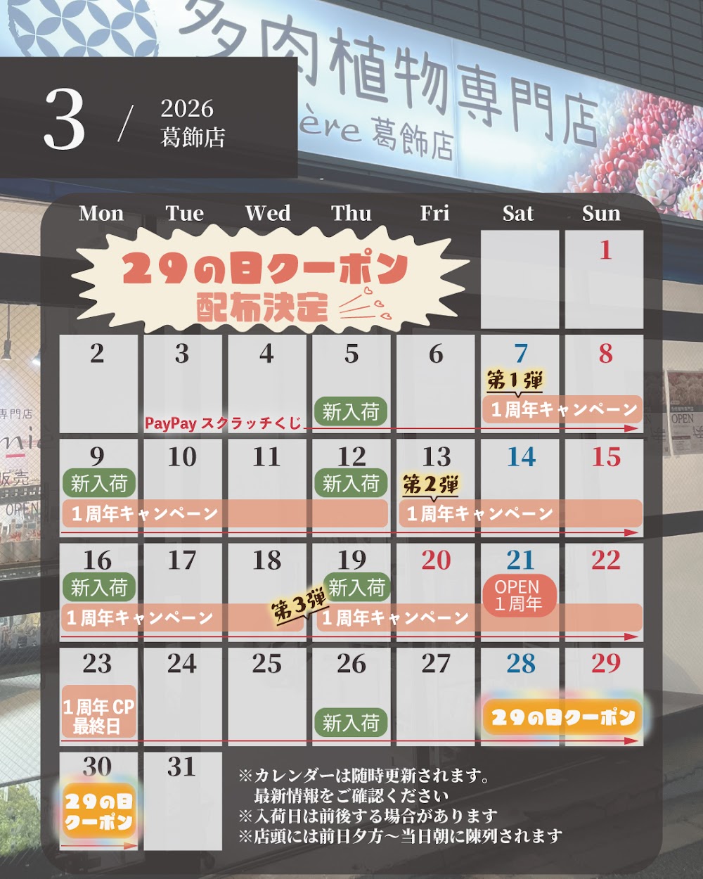 東京でたくさん多肉植物が並ぶお店 | 多肉植物専門店リュミエール_20260323