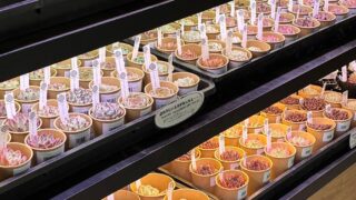 【新入荷】全品1000円以下!エケベリアカット苗新入荷✨ブラックマディバやホワイトミニマ錦からビックサイズまで!