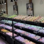 東京でたくさん多肉植物が並ぶお店 | 多肉植物専門店リュミエール_20260329