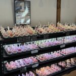 東京でエケベリアがたくさん並ぶ無人販売店|多肉植物専門店リュミエール葛飾店_20260331