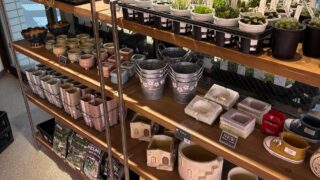 いつもと違う角度で店内撮影📷️