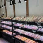 東京でエケベリアがたくさん並ぶ無人販売店|多肉植物専門店リュミエール葛飾店_20260406