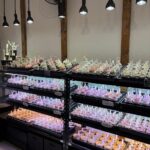 東京でエケベリアがたくさん並ぶ無人販売店|多肉植物専門店リュミエール葛飾店_20260408