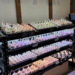 東京でエケベリアがたくさん並ぶ無人販売店|多肉植物専門店リュミエール葛飾店_20260411