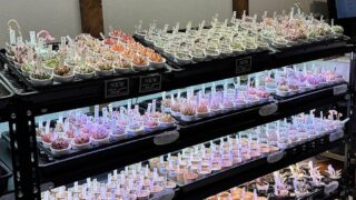 東京でエケベリアがたくさん並ぶ無人販売店|多肉植物専門店リュミエール葛飾店_20260411