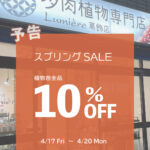 東京でエケベリアがたくさん並ぶ無人販売店|多肉植物専門店リュミエール葛飾店_20260415