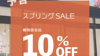 東京でエケベリアがたくさん並ぶ無人販売店|多肉植物専門店リュミエール葛飾店_20260415