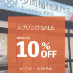 東京でエケベリアがたくさん並ぶ無人販売店|多肉植物専門店リュミエール葛飾店_20260418