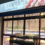 東京でエケベリアがたくさん並ぶ無人販売店|多肉植物専門店リュミエール葛飾店_20260424