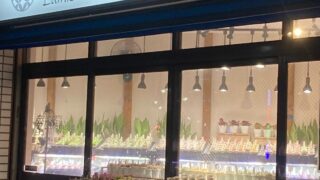 東京でエケベリアがたくさん並ぶ無人販売店|多肉植物専門店リュミエール葛飾店_20260424