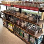 東京でエケベリアがたくさん並ぶ無人販売店|多肉植物専門店リュミエール葛飾店_20260425