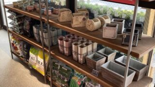 東京でエケベリアがたくさん並ぶ無人販売店|多肉植物専門店リュミエール葛飾店_20260425