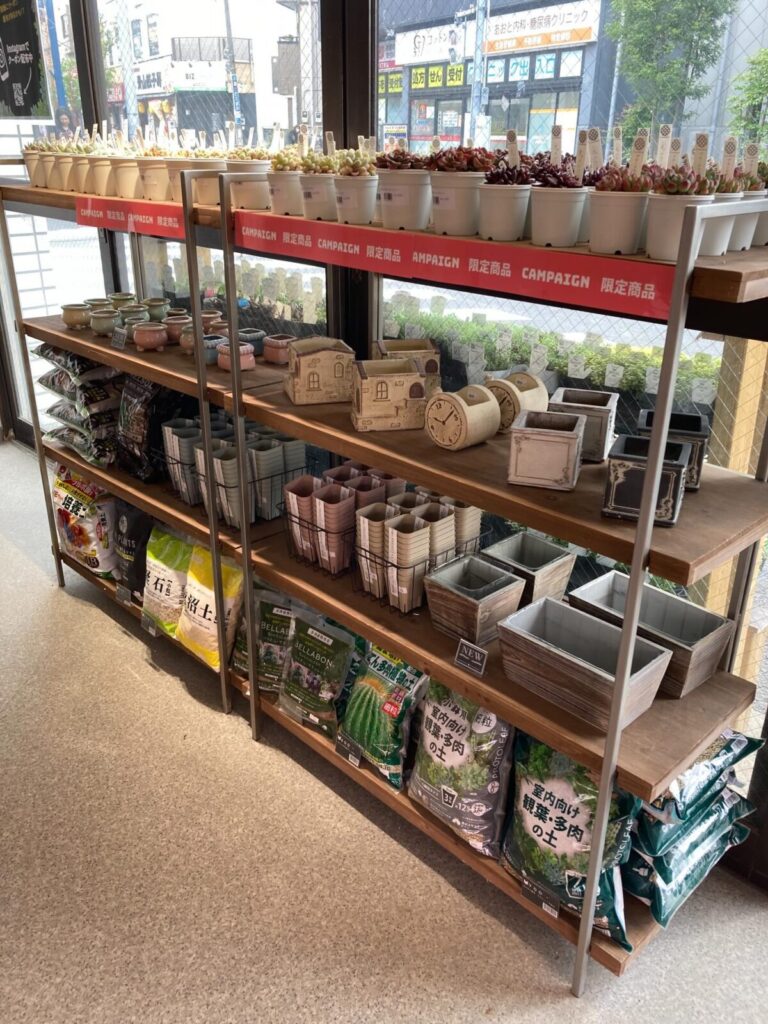 多肉植物の土|多肉植物専門店リュミエール葛飾店_20260425