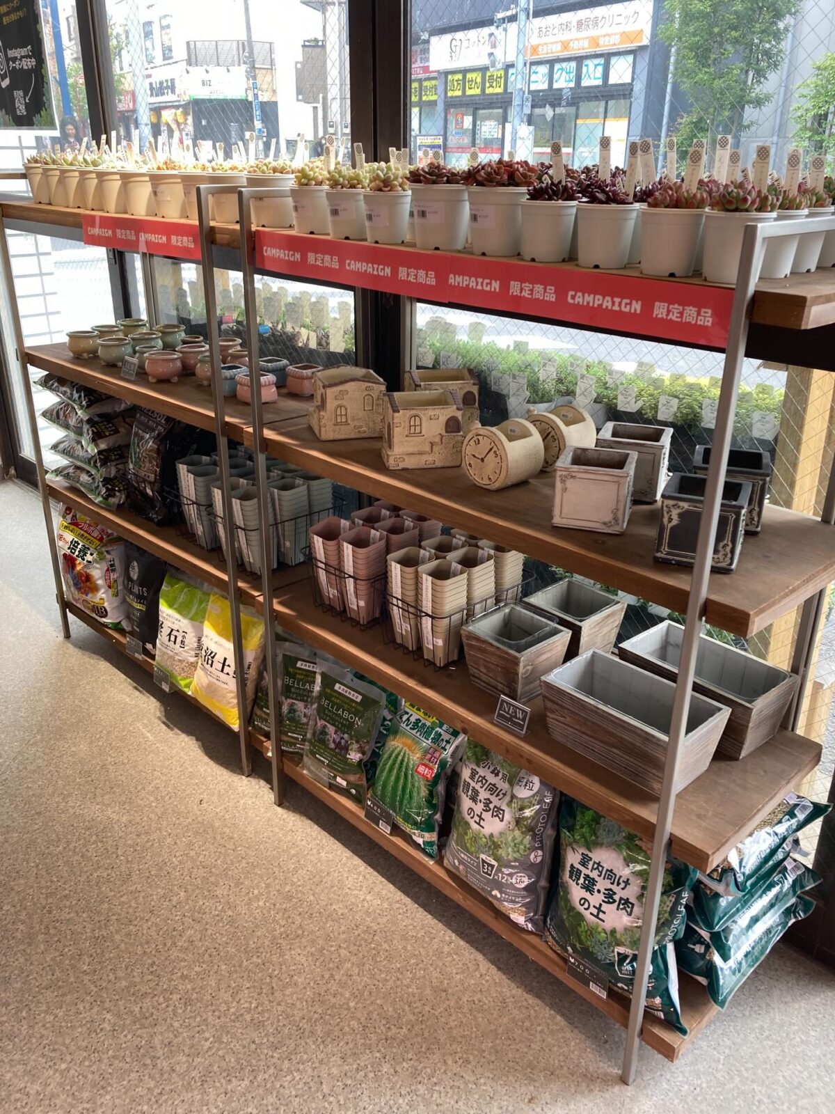 東京でエケベリアがたくさん並ぶ無人販売店|多肉植物専門店リュミエール葛飾店_20260425