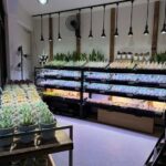 東京でエケベリアがたくさん並ぶ無人販売店|多肉植物専門店リュミエール葛飾店_20260426