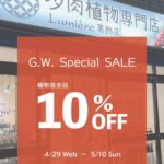 イベントキャンペーン情報|多肉植物専門店リュミエール葛飾店_20260428
