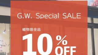 イベントキャンペーン情報|多肉植物専門店リュミエール葛飾店_20260428