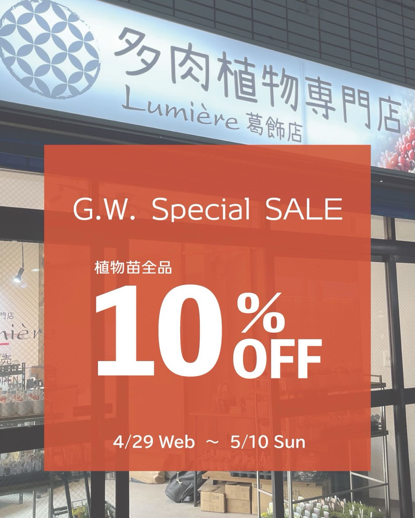 イベントキャンペーン情報|多肉植物専門店リュミエール葛飾店_20260428