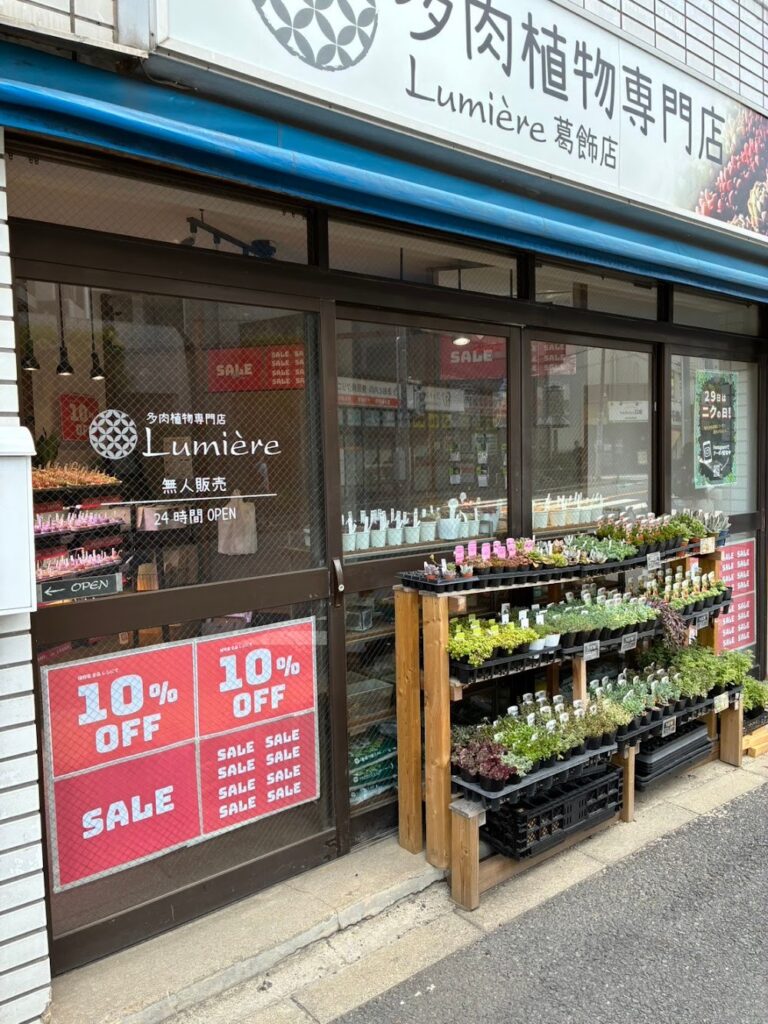 東京でエケベリアがたくさん並ぶ無人販売店|多肉植物専門店リュミエール葛飾店_20260430