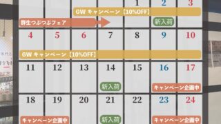 東京でエケベリアがたくさん並ぶ無人販売店|多肉植物専門店リュミエール葛飾店_20260430