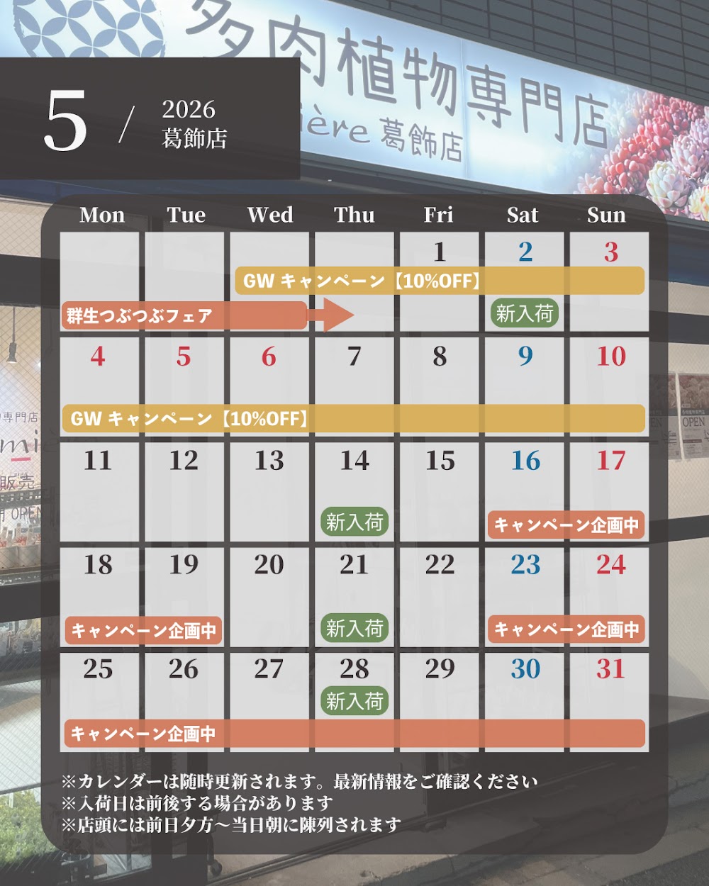 東京でエケベリアがたくさん並ぶ無人販売店|多肉植物専門店リュミエール葛飾店_20260430