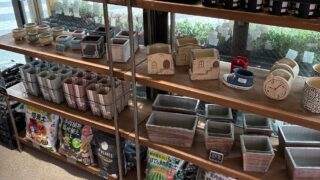 東京でエケベリアがたくさん並ぶ無人販売店|多肉植物専門店リュミエール葛飾店_20260504