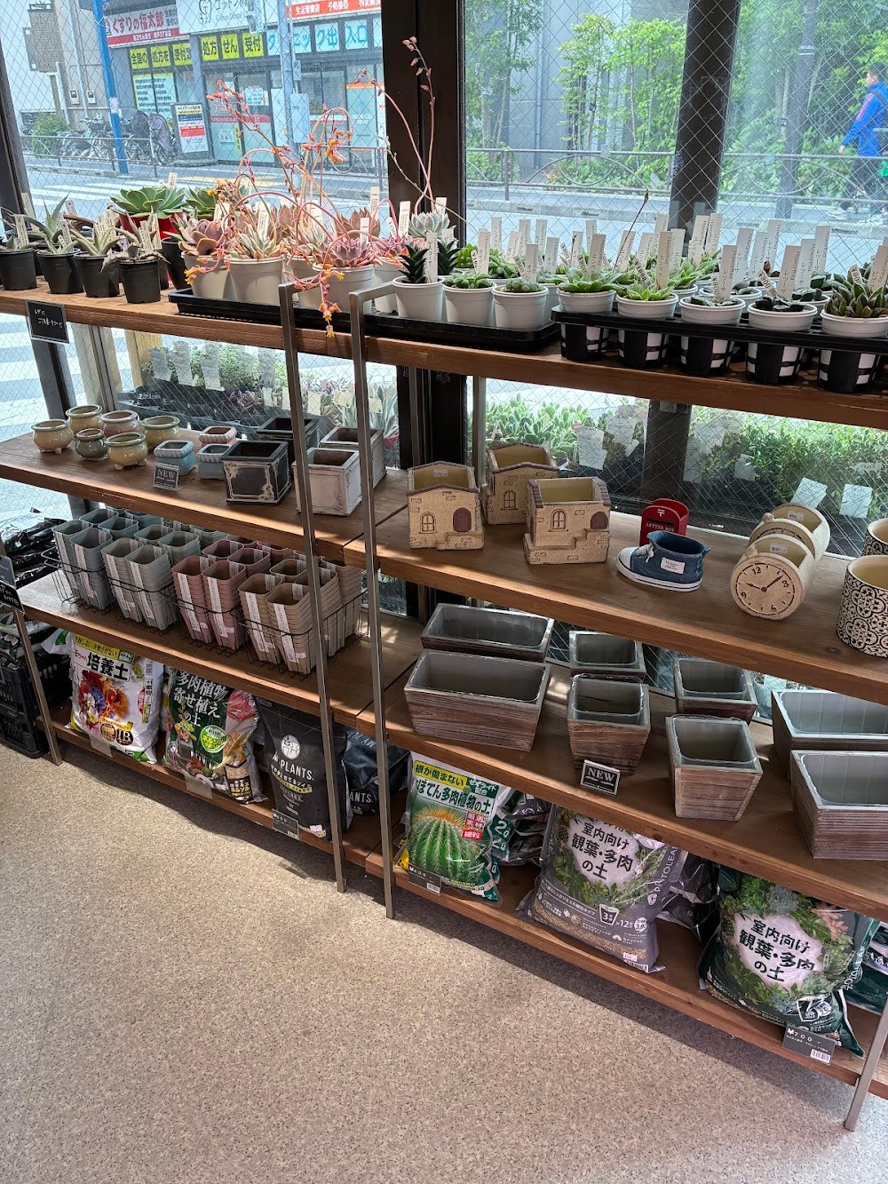 東京でエケベリアがたくさん並ぶ無人販売店|多肉植物専門店リュミエール葛飾店_20260504