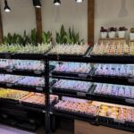 東京でエケベリアがたくさん並ぶ無人販売店|多肉植物専門店リュミエール葛飾店_20260506