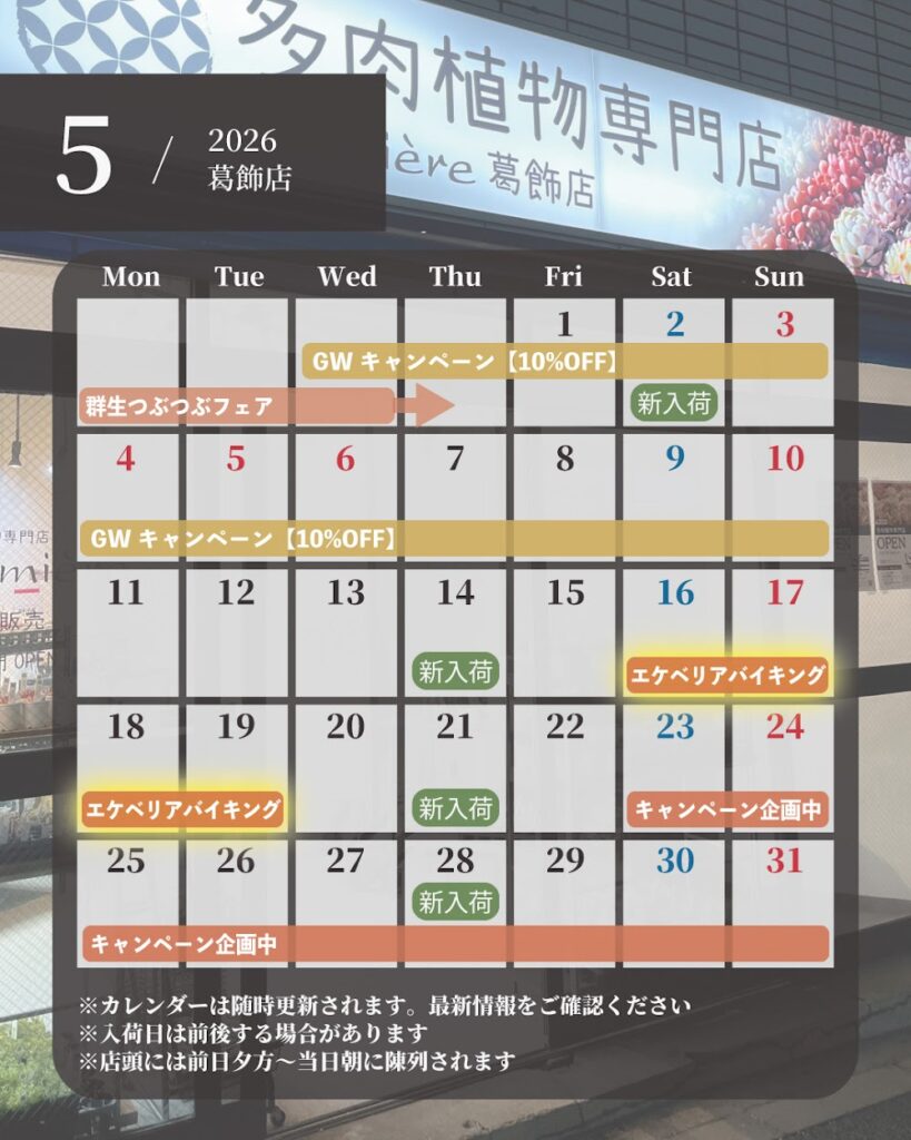 【更新】2026年5月のイベントカレンダー|多肉植物専門店リュミエール葛飾店_20260514
