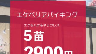 イベント情報|多肉植物専門店リュミエール葛飾店_20260515