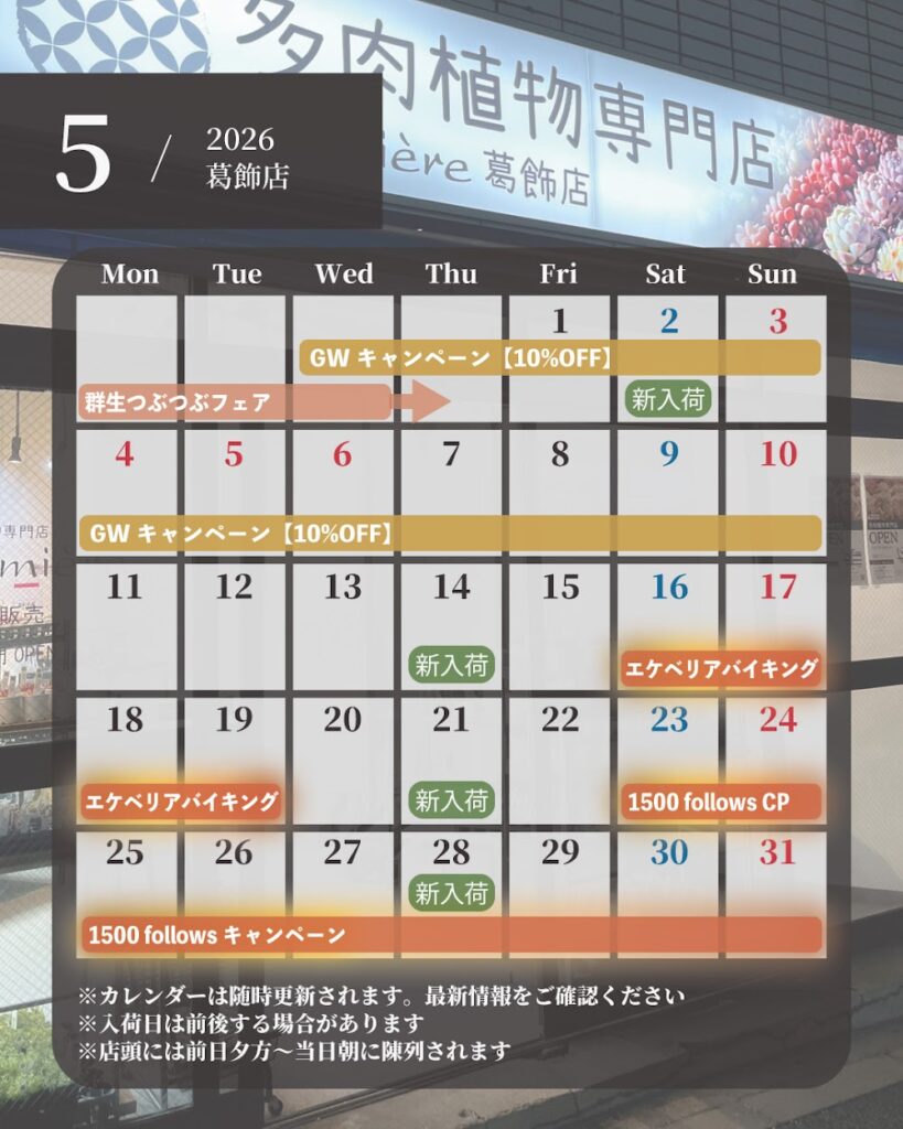 イベントカレンダー|多肉植物専門店リュミエール葛飾店_20260516