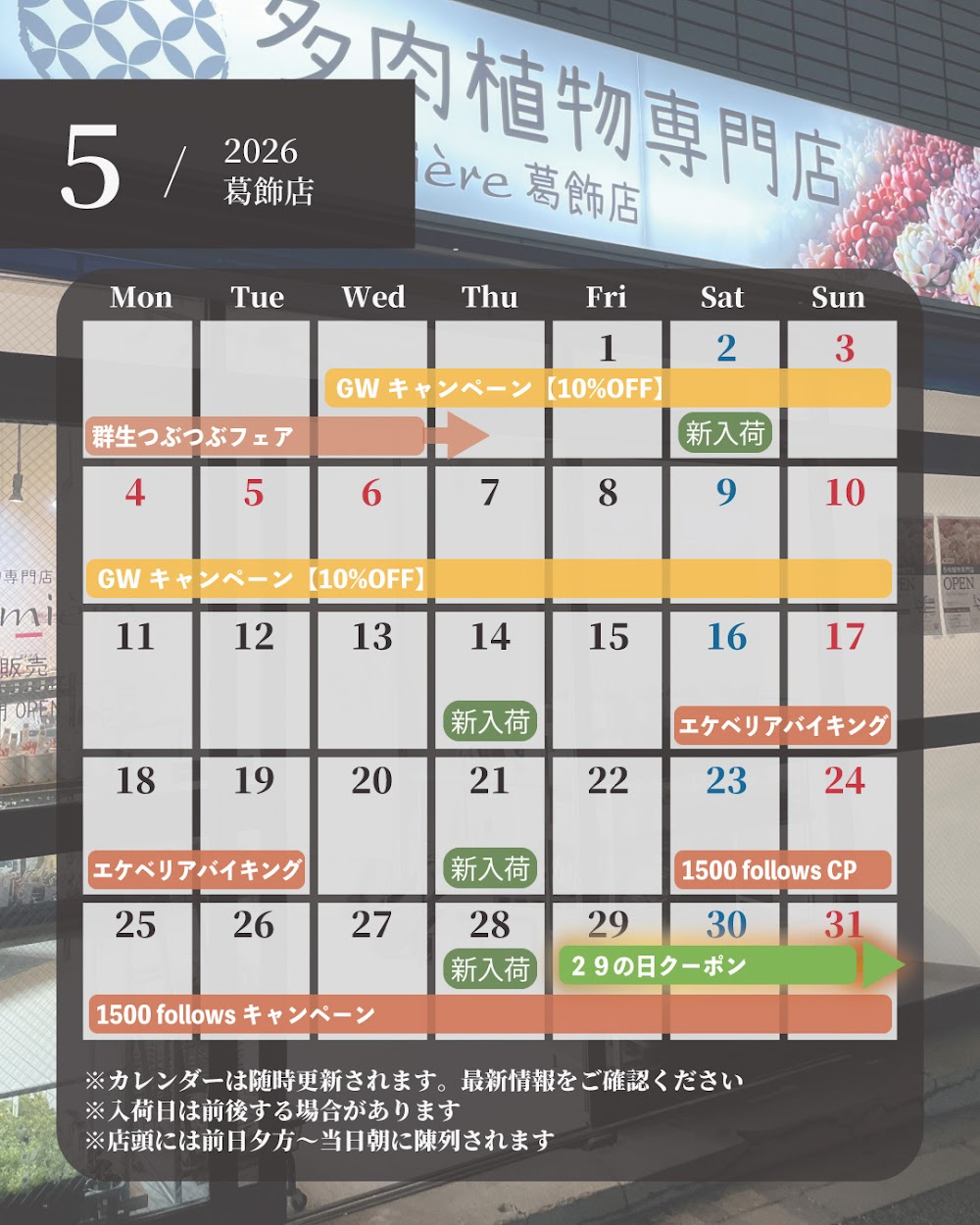 東京でエケベリアがたくさん並ぶ無人販売店|多肉植物専門店リュミエール葛飾店_20260525