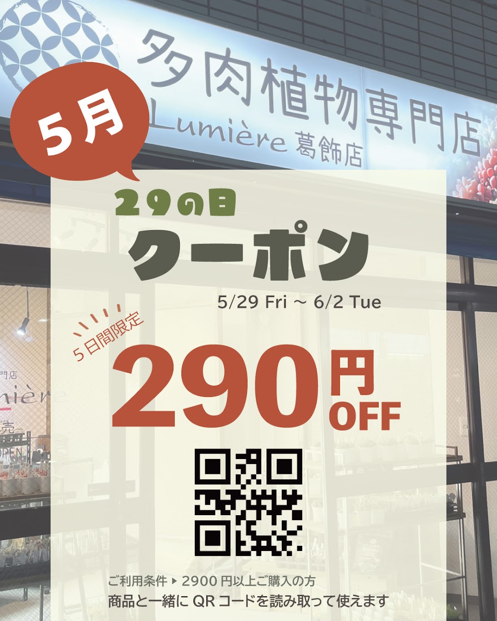 東京でエケベリアがたくさん並ぶ無人販売店|多肉植物専門店リュミエール葛飾店_20260528