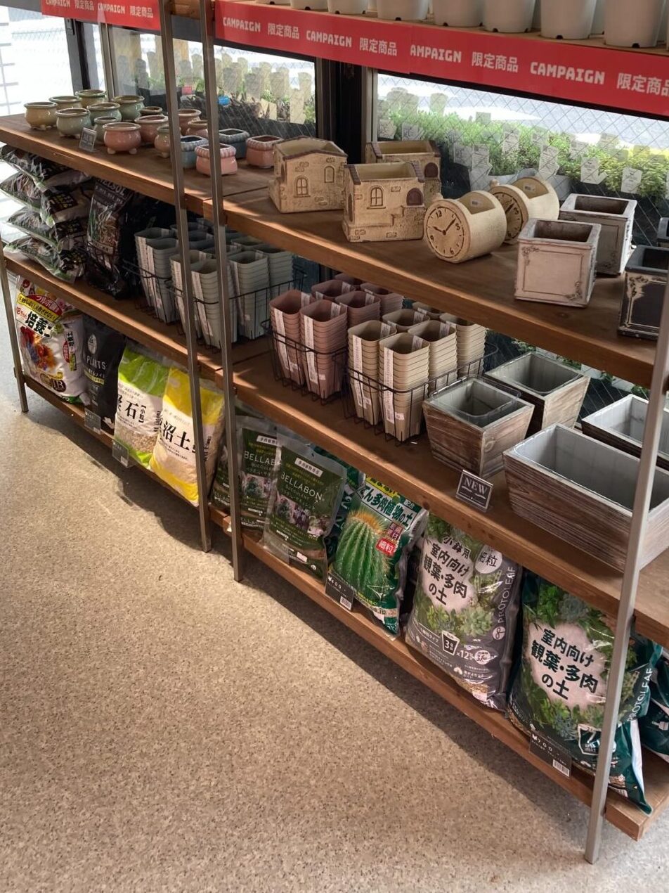 多肉植物の土|多肉植物専門店リュミエール葛飾店_20260425