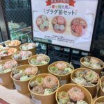 東京でエケベリアがたくさん並ぶ無人販売店|多肉植物専門店リュミエール葛飾店_20260502