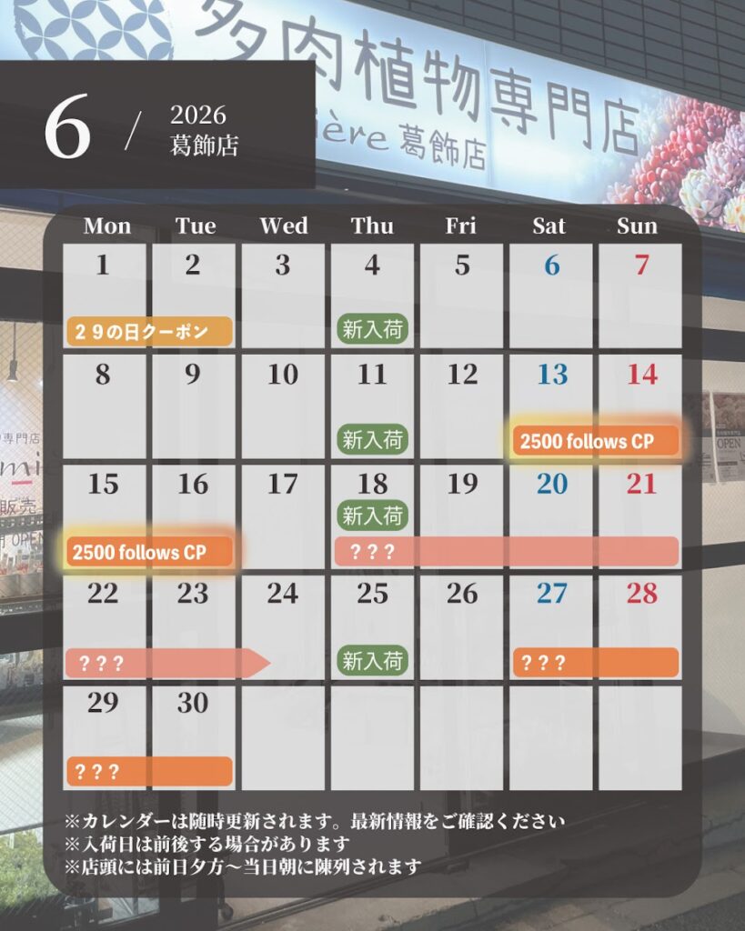 イベントカレンダー|多肉植物専門店リュミエール葛飾店_20260605